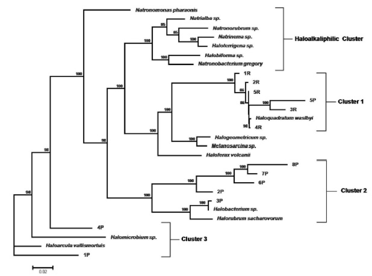 Figure 6