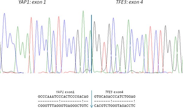 Figure 9