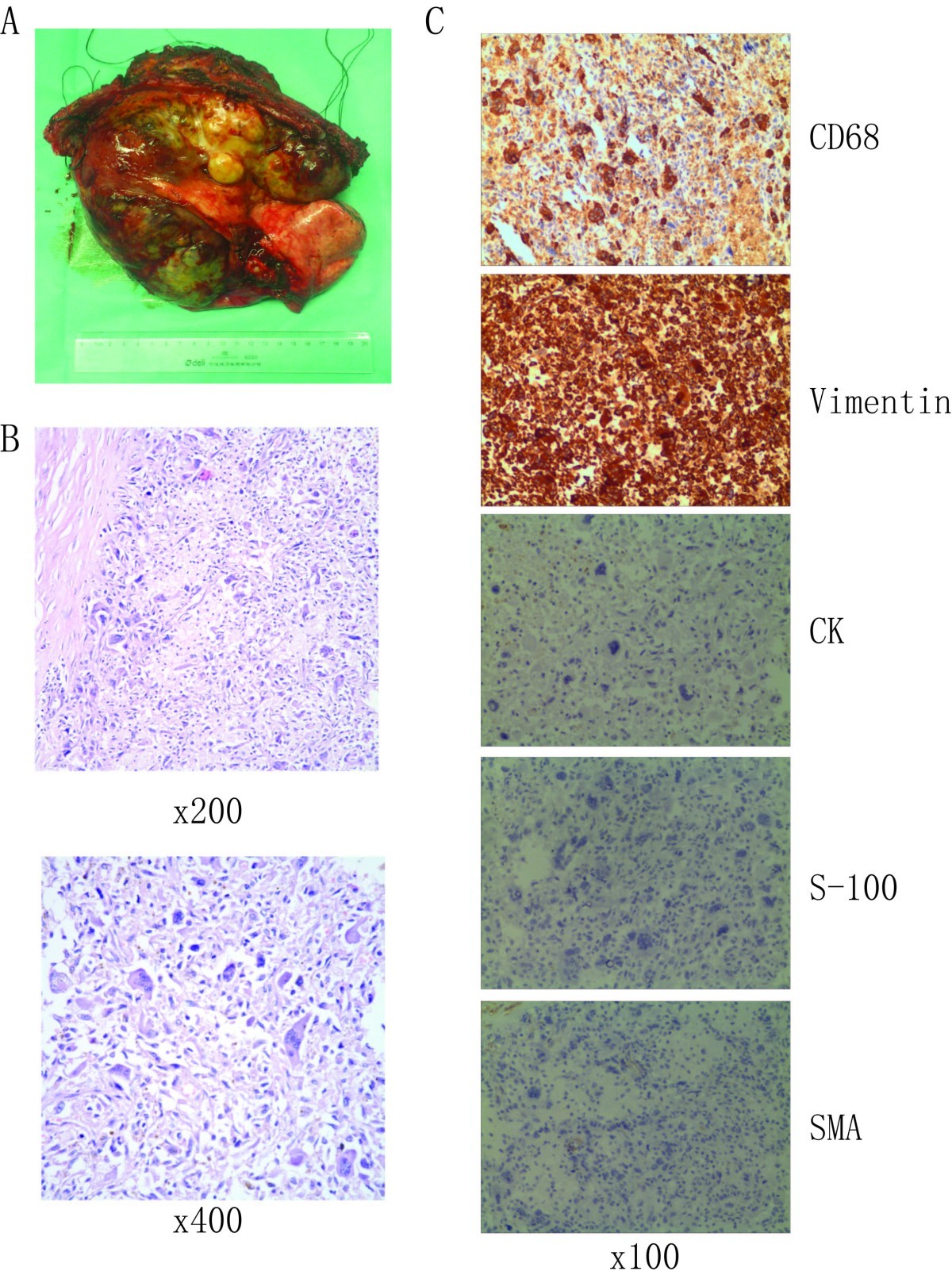 Figure 2