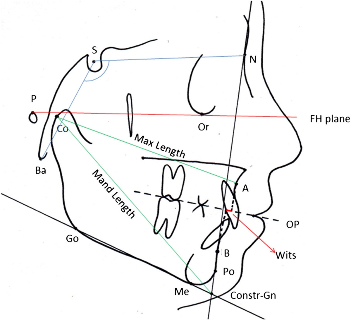 Figure 1