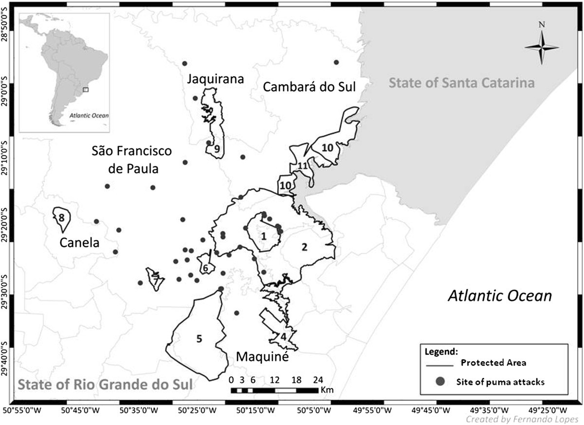 Depredation of domestic herds by pumas based on farmer’s ...