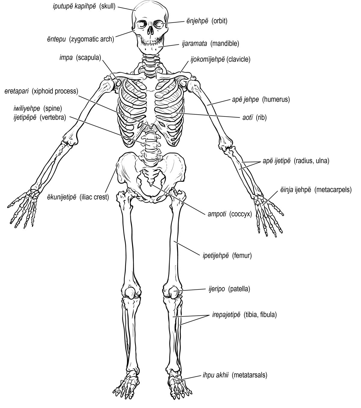 Figure 9