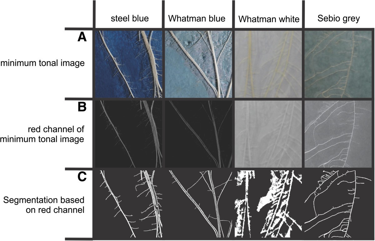 Figure 4