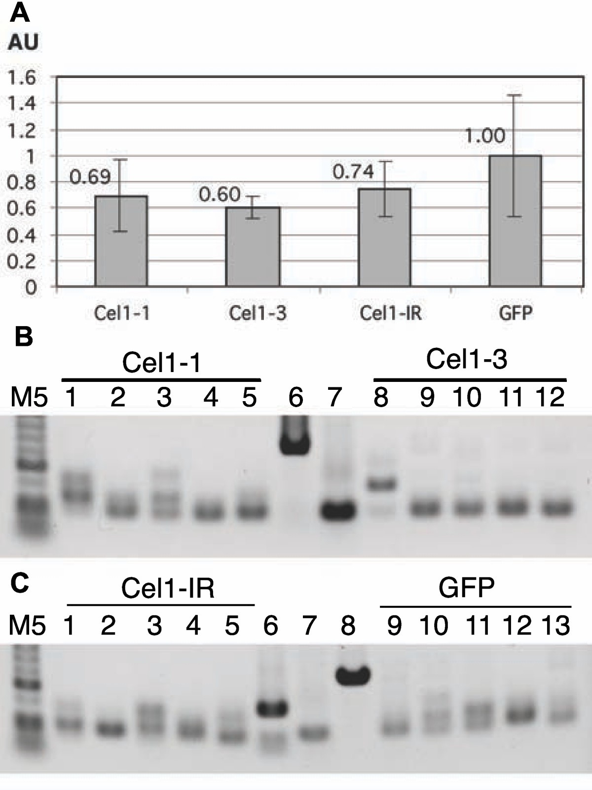 Figure 4