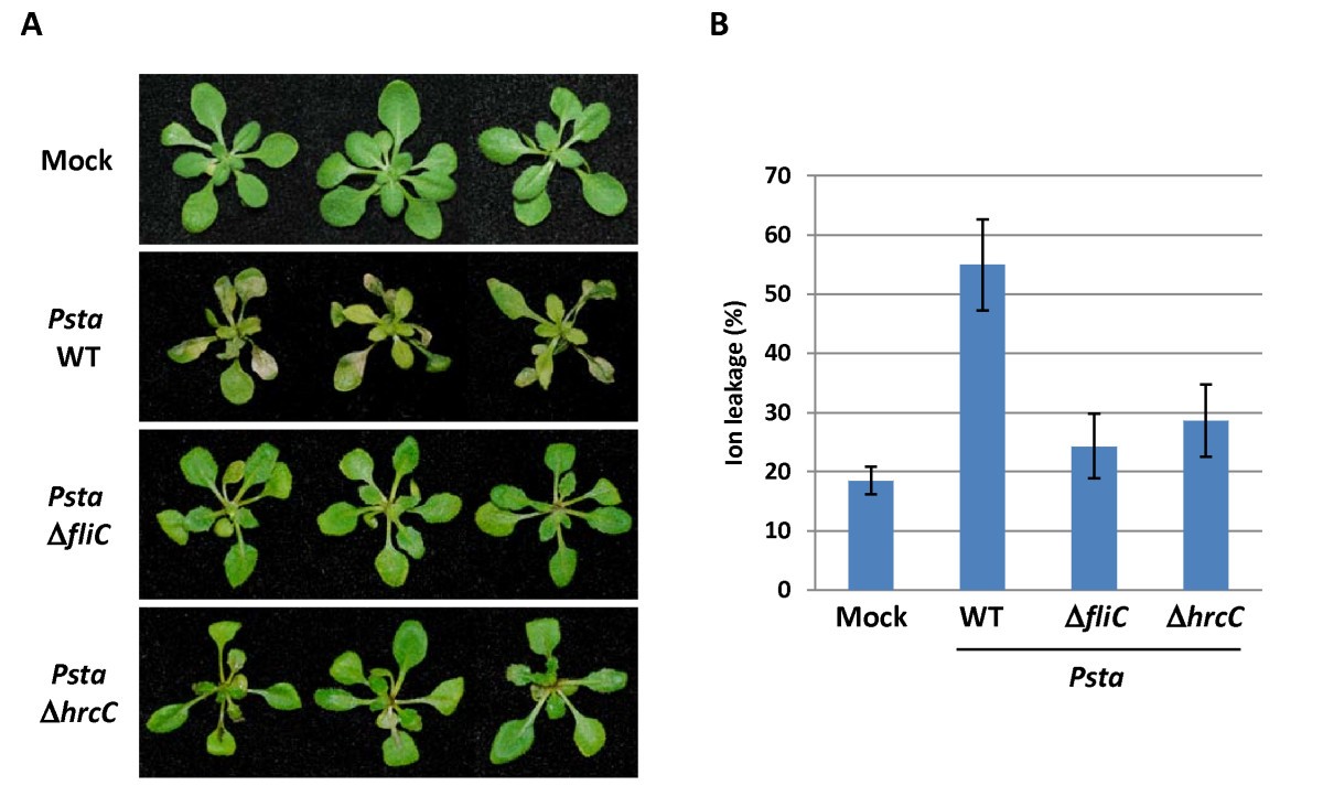 Figure 6