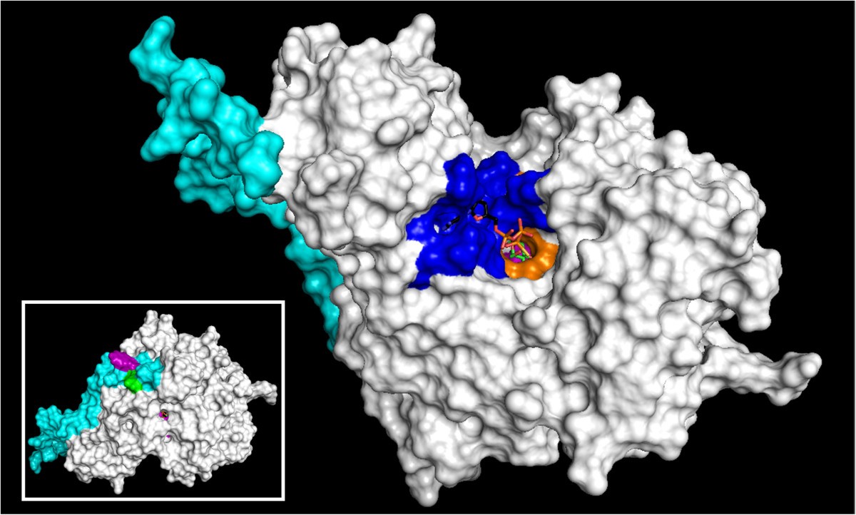 Figure 4