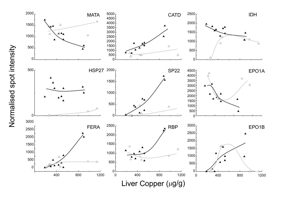 Figure 10