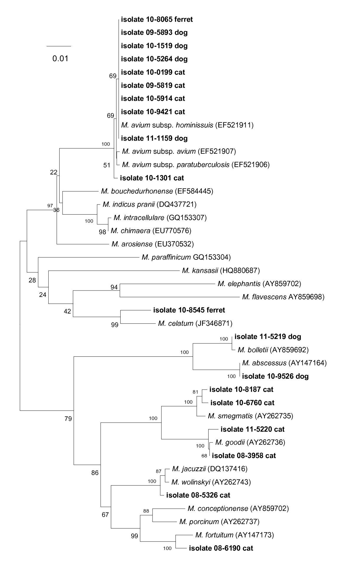 Figure 3