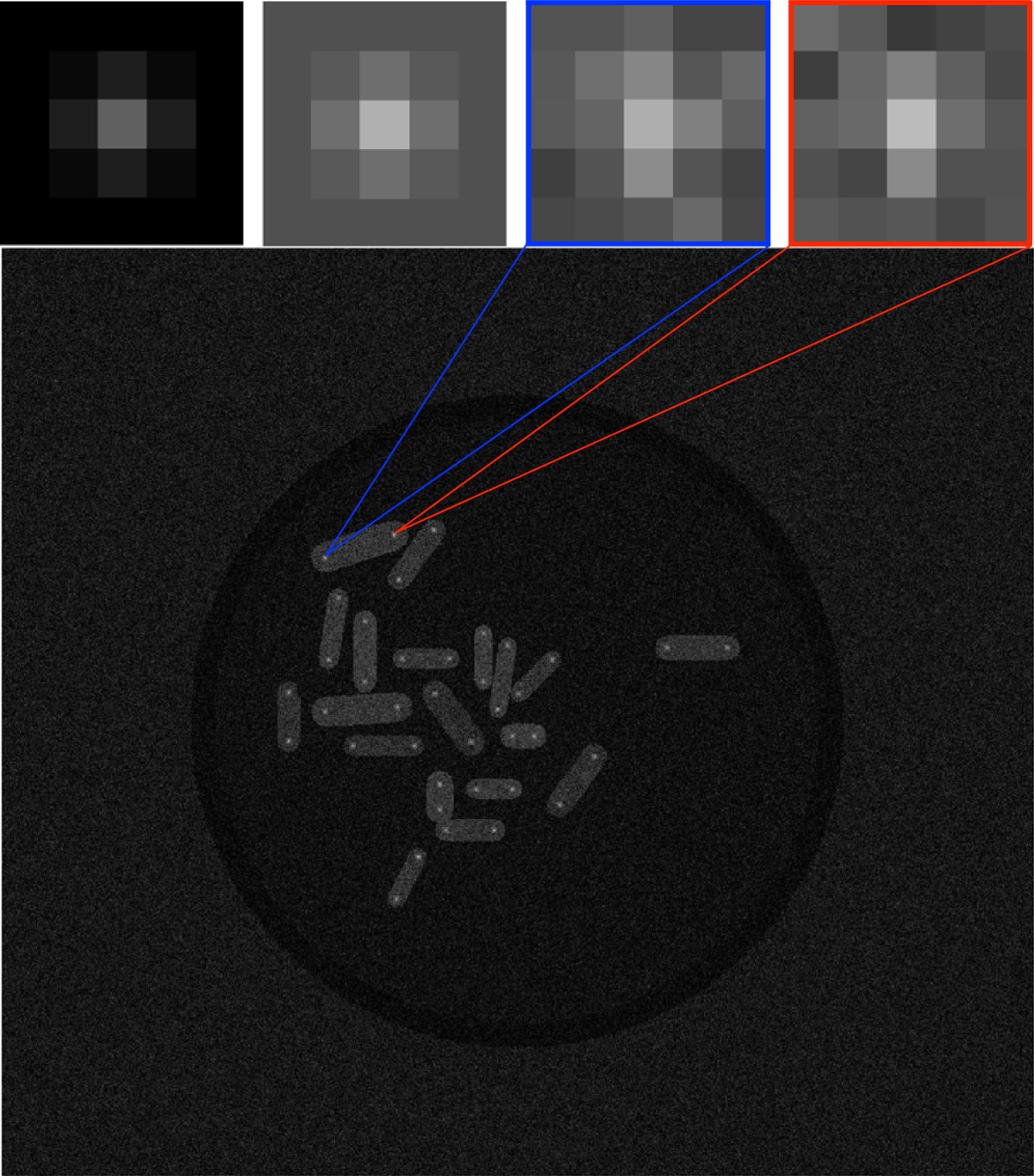 Figure 10