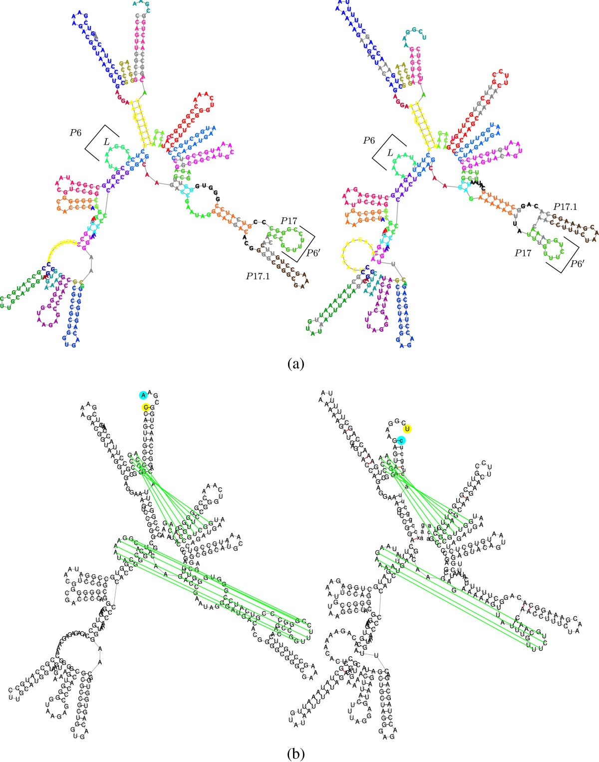 Figure 13