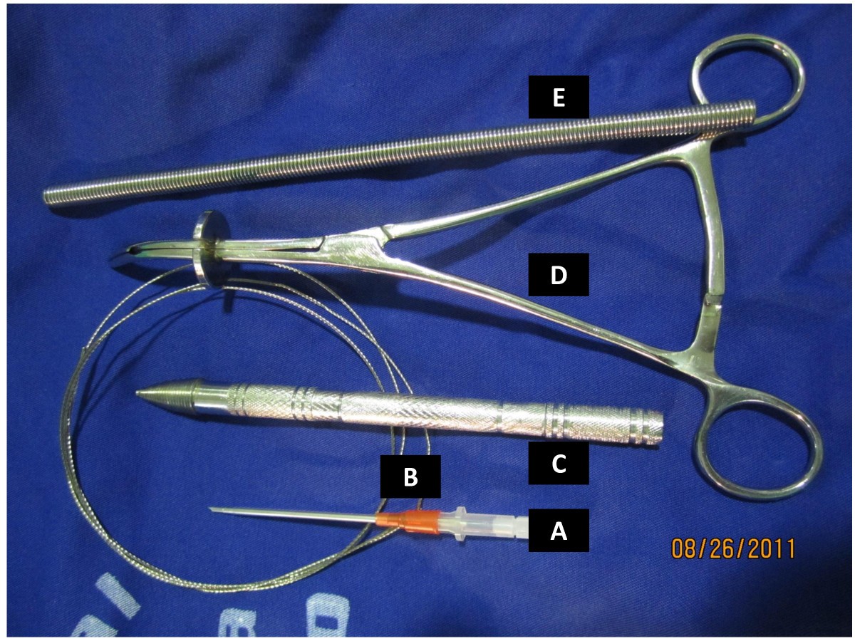 ...Jelco ®; (B) the guidewire; (C) the threaded tip dilator; (D)