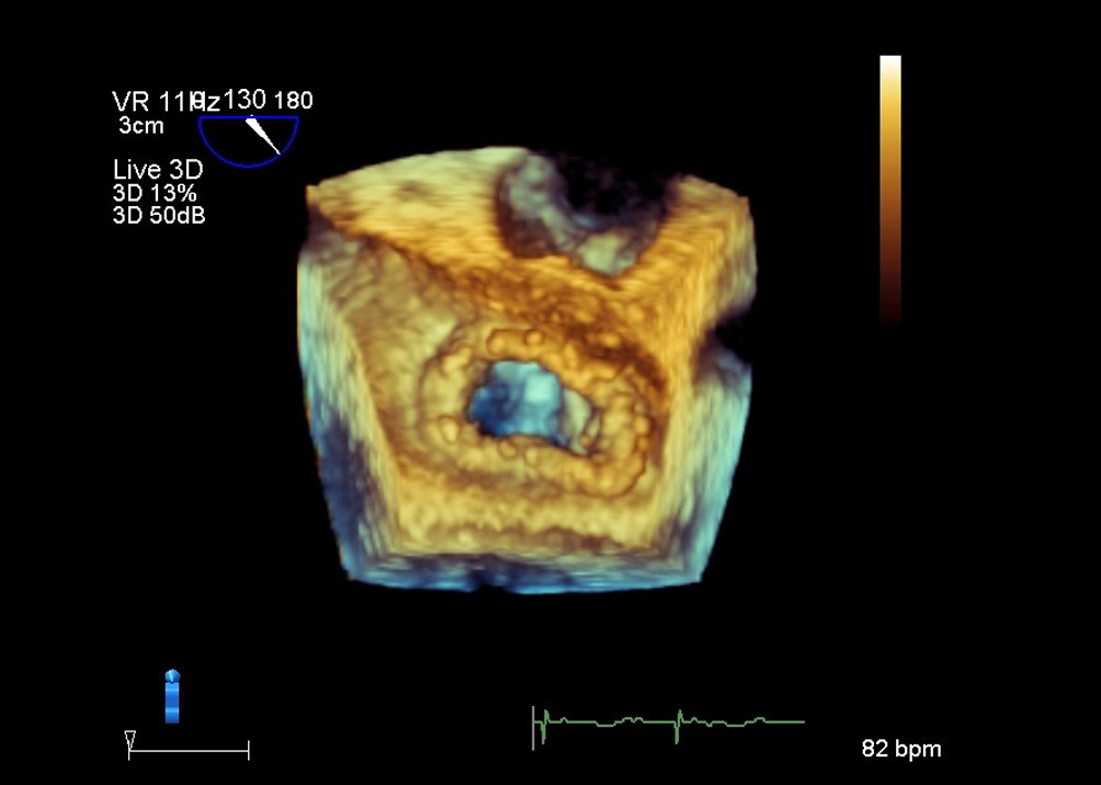 Figure 5