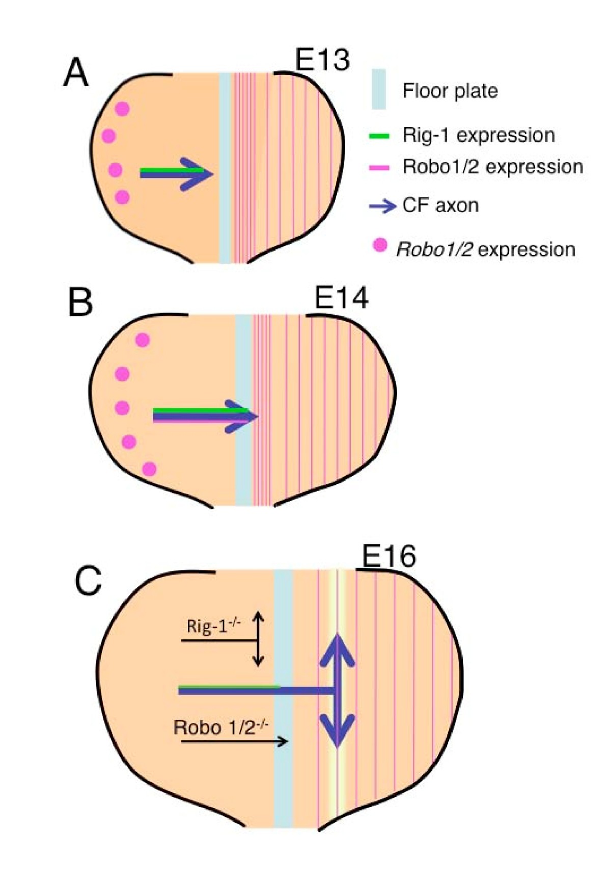 Figure 8