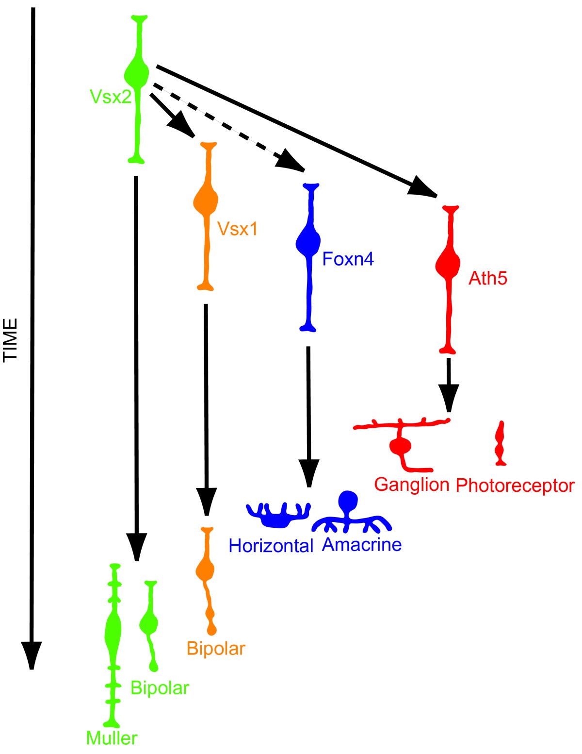 Figure 15