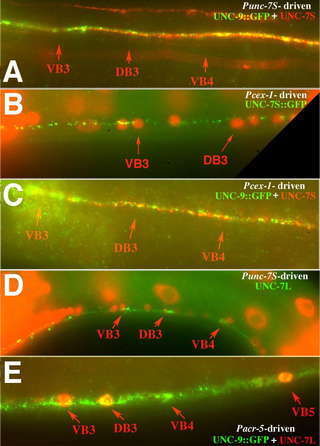 Figure 10