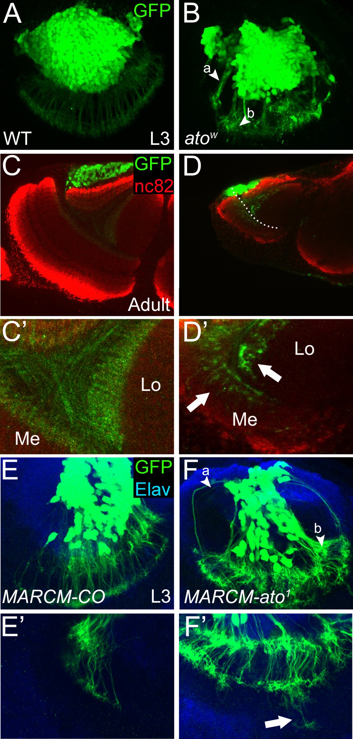 Figure 4