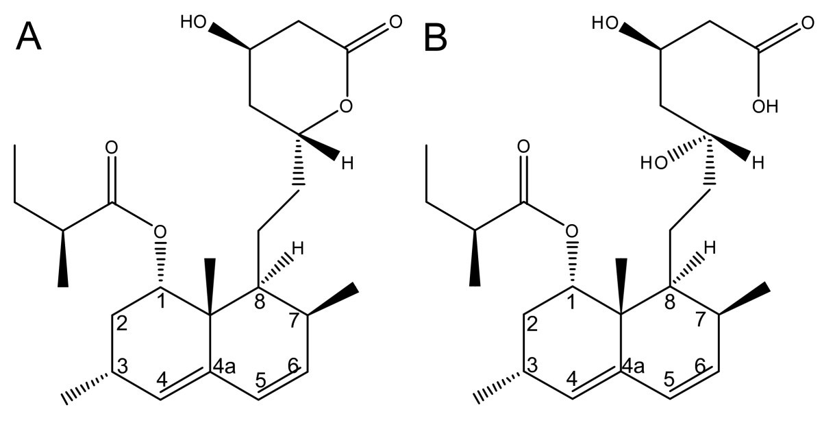 NMR evaluation of total statin content and HMGCoA reductase inhibition