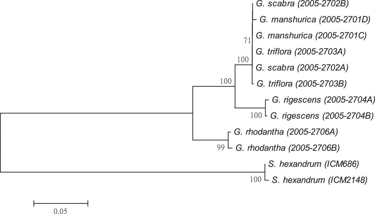 Figure 6