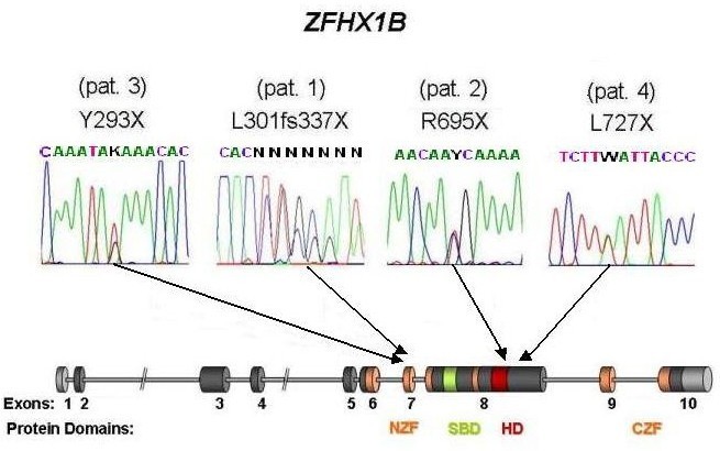 Figure 6