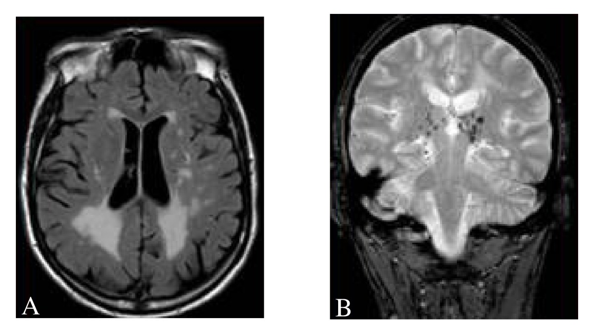 Figure 19