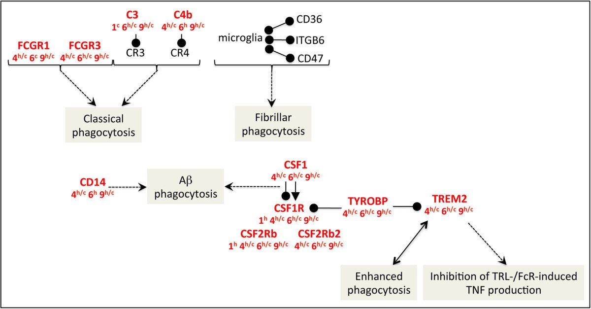 Figure 7