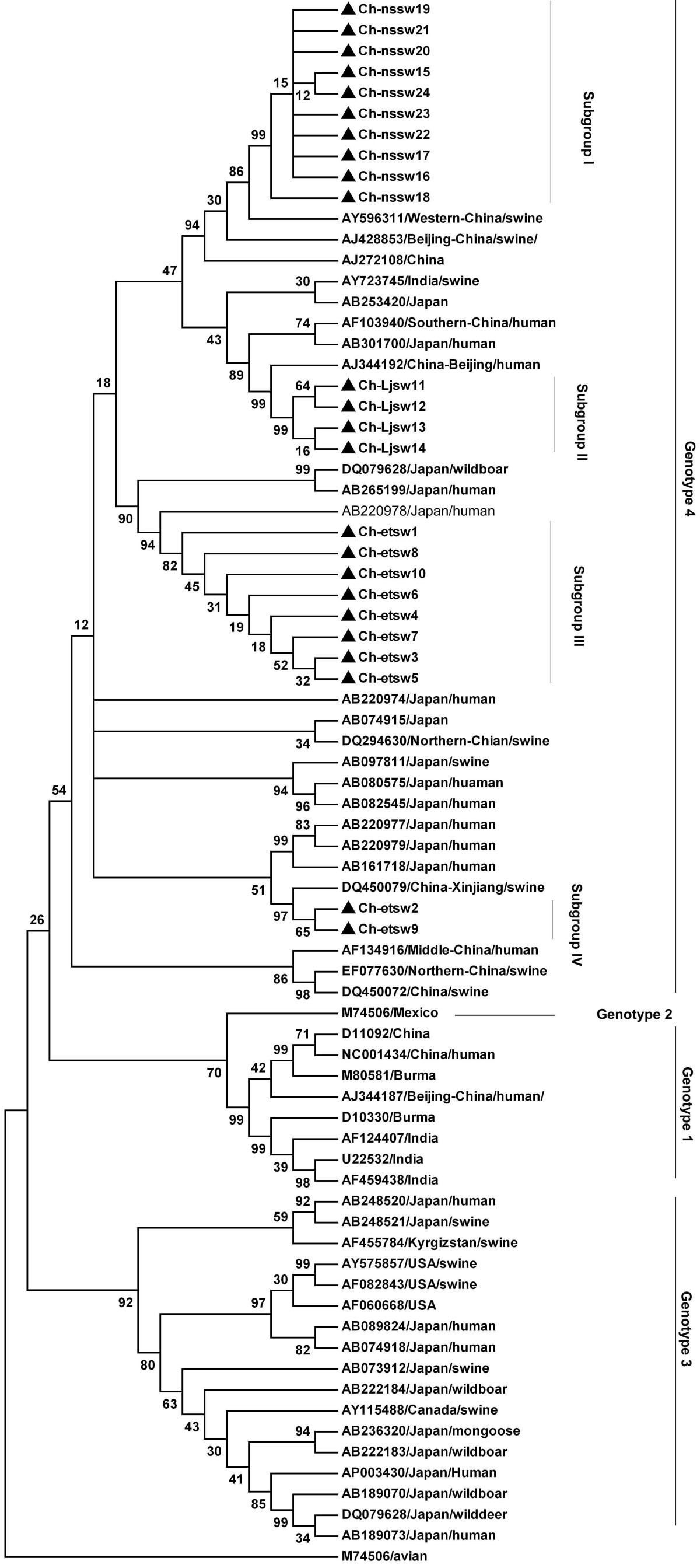 Figure 2