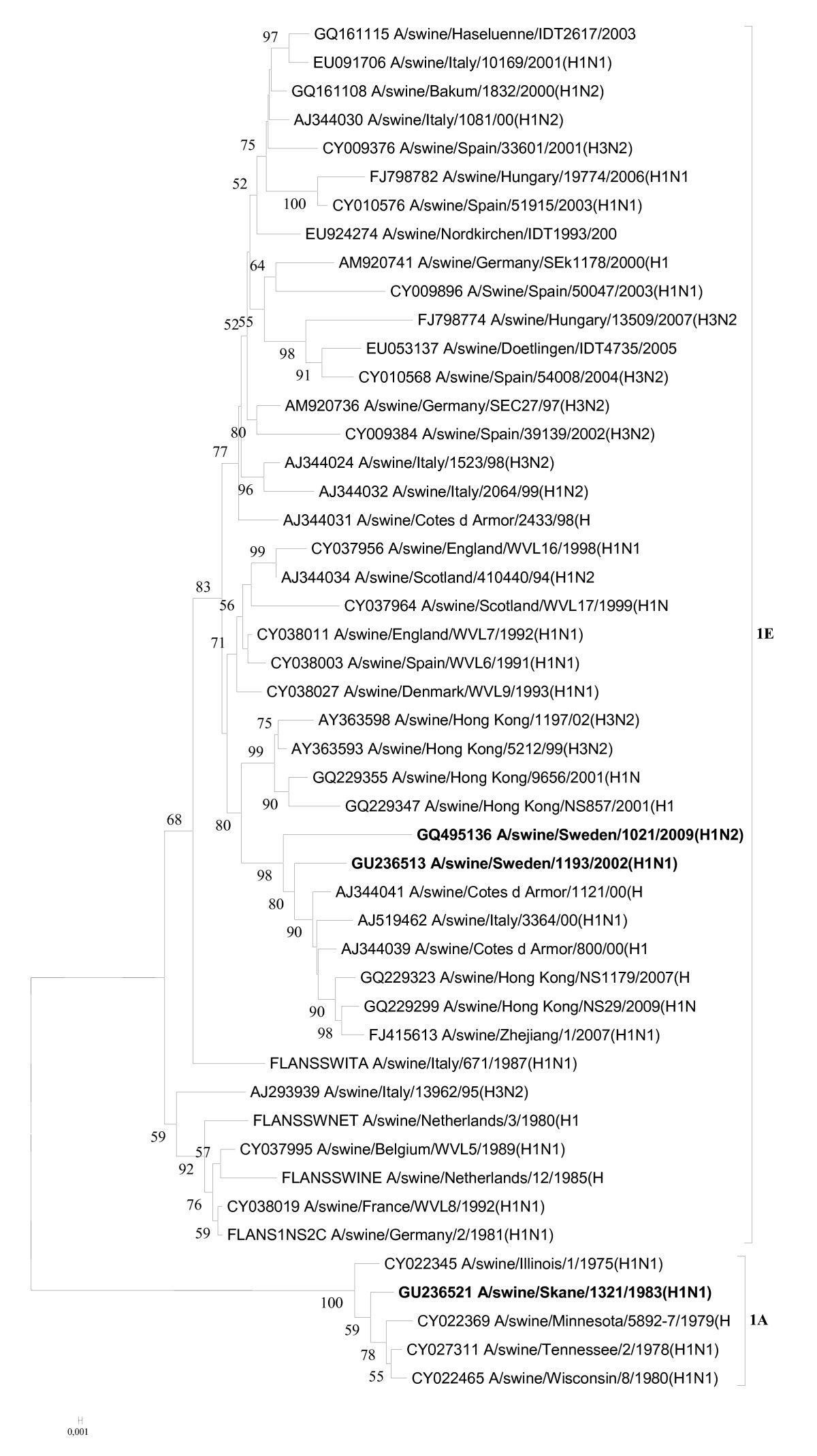 Figure 5