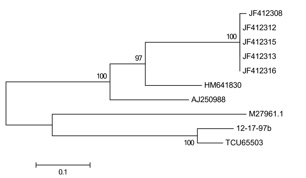 Figure 1