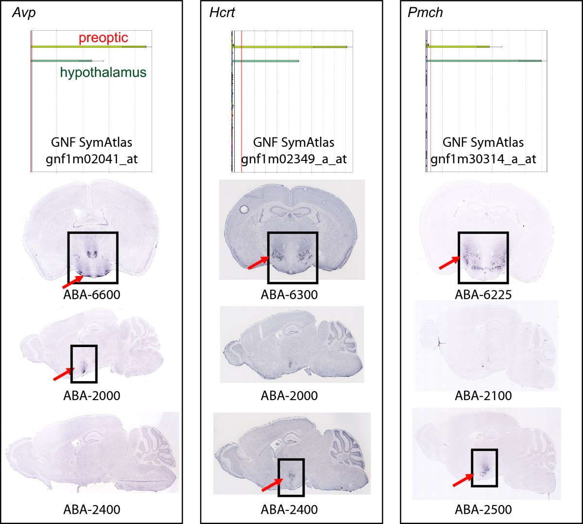 Figure 6