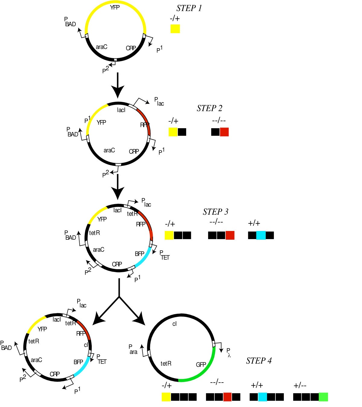 Figure 6