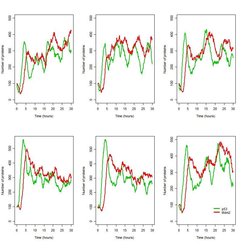 Figure 11