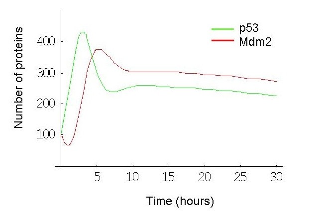 Figure 13