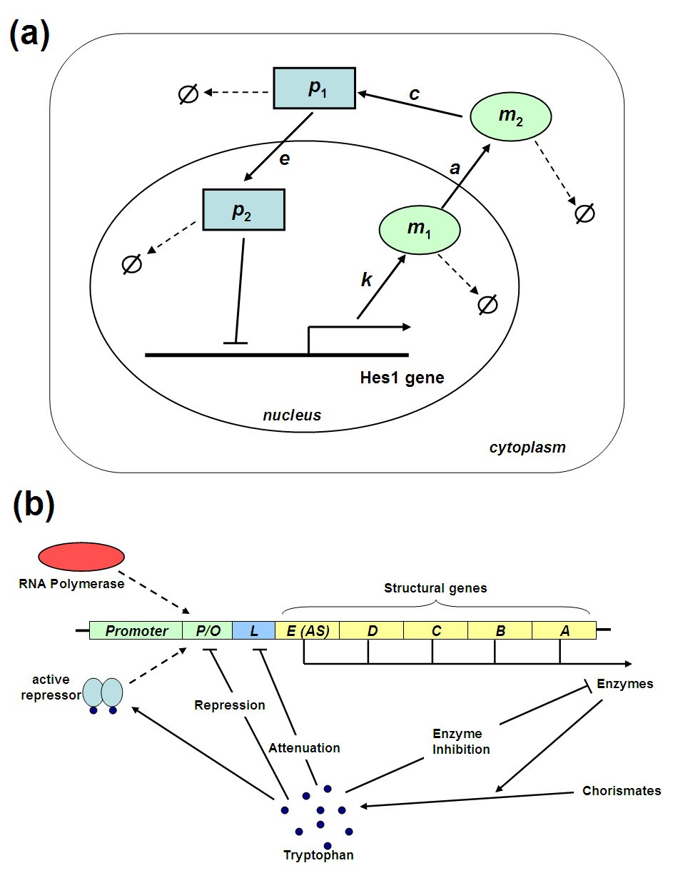 Figure 15