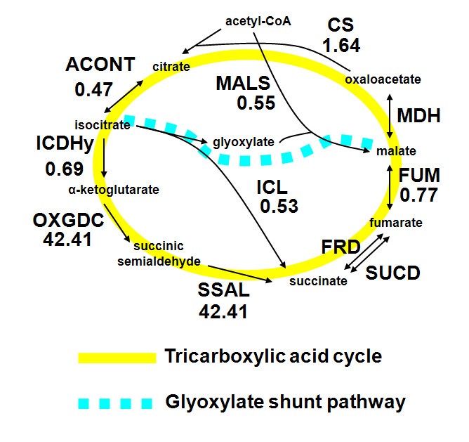 Figure 8