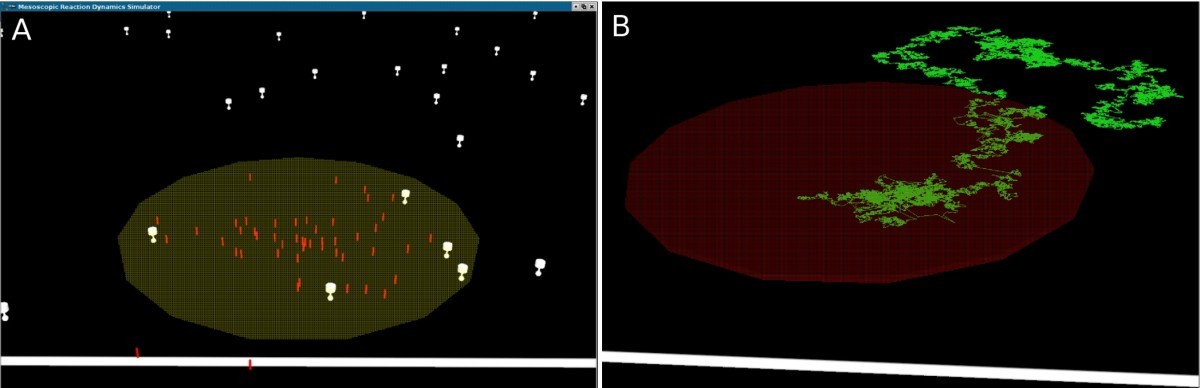 Figure 13