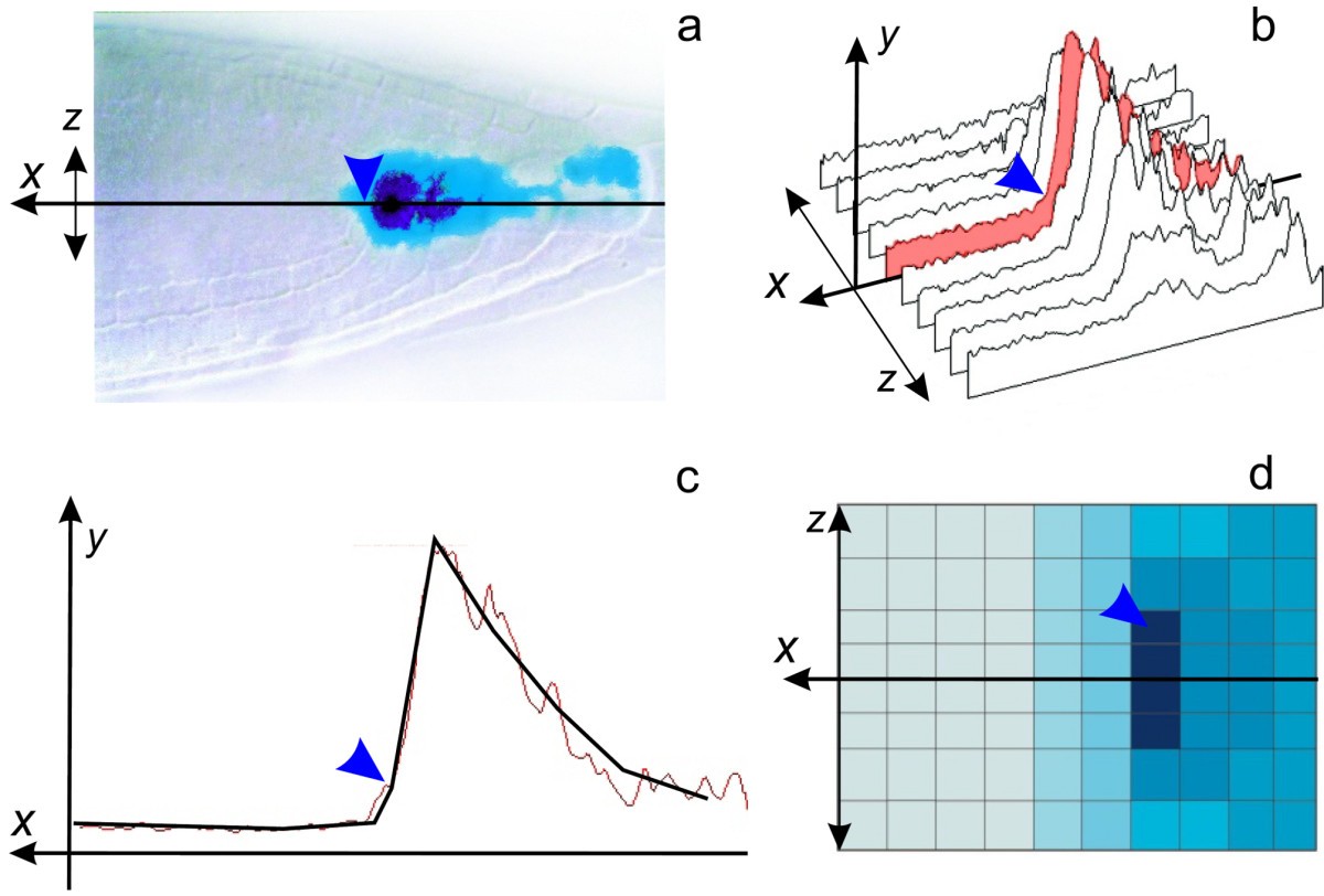 Figure 4