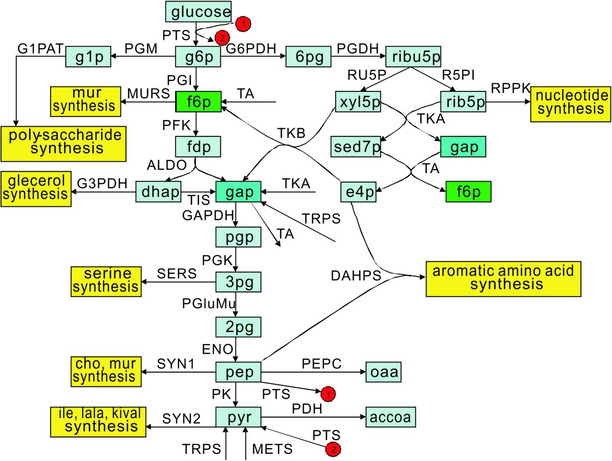 epub metal catalysed reactions in ionic