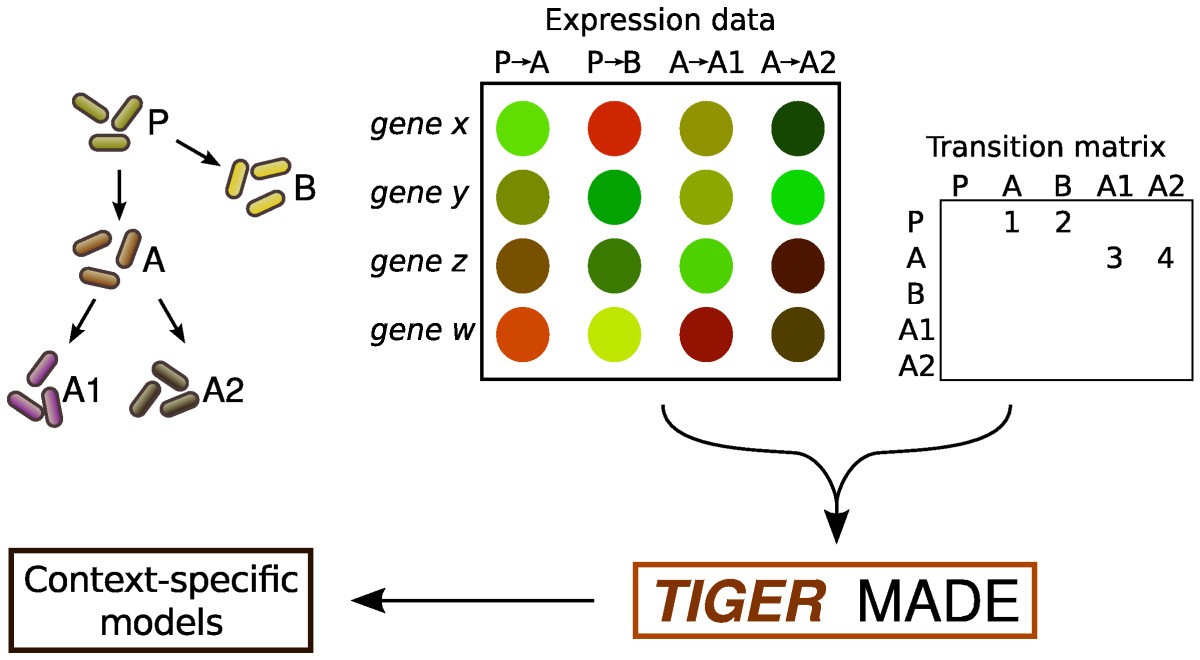 Figure 5