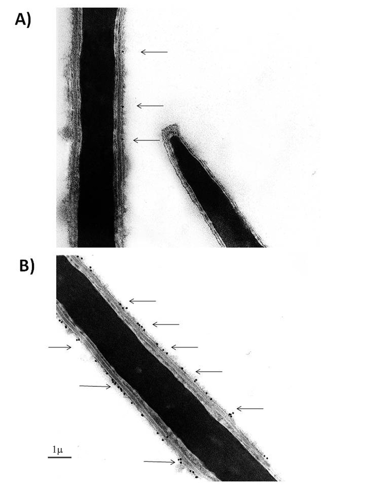 Figure 8