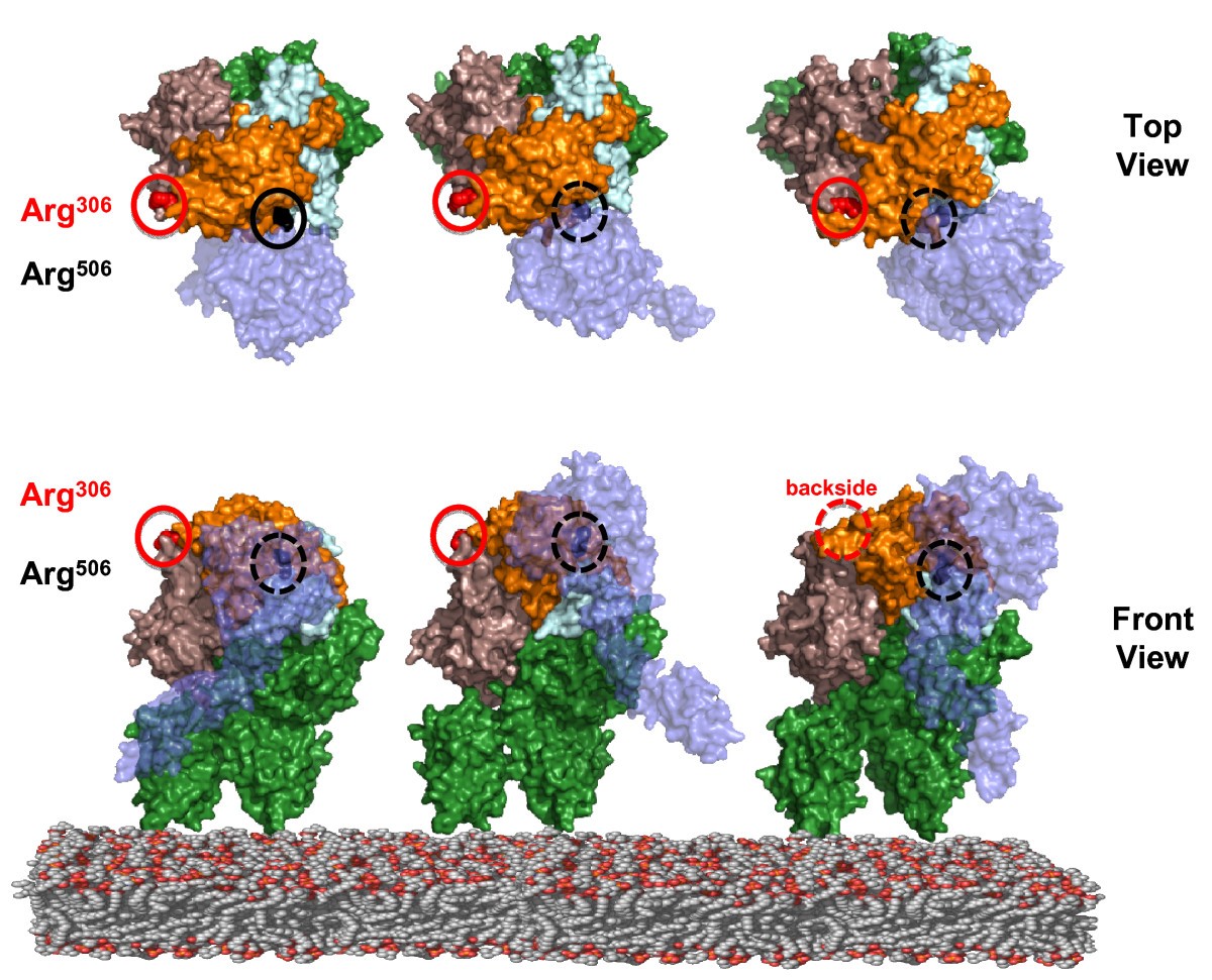 Figure 6