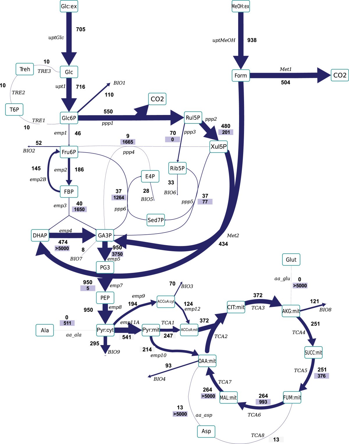 Figure 4