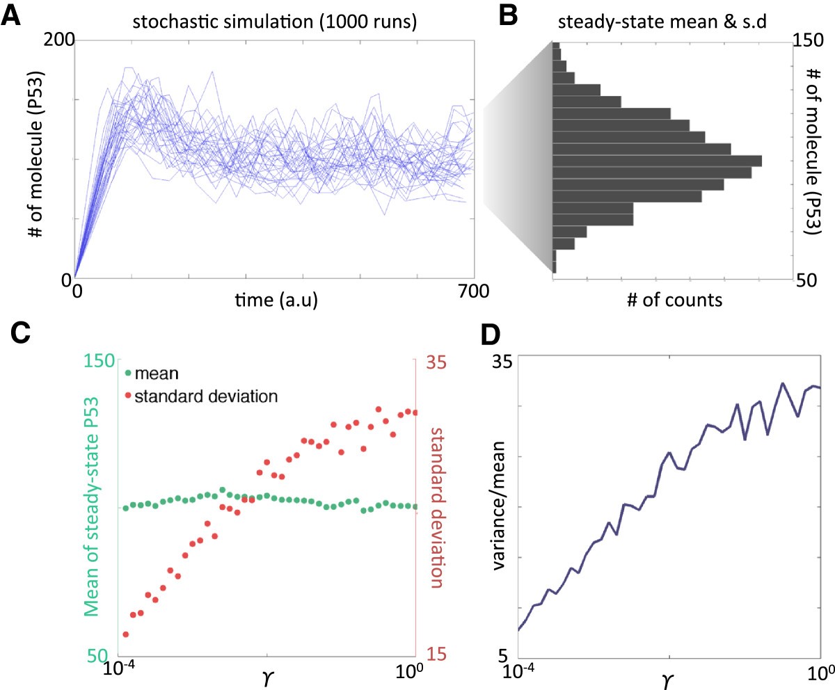 B c means. Stochastic Simulation. Стохастика состоит из линий. Виды Stochastic 15 в %. Stochastic diffusion.