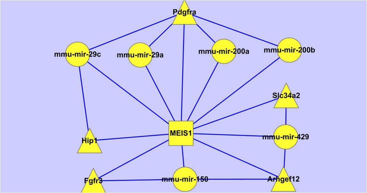 Figure 12