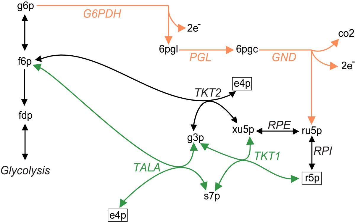 Figure 4