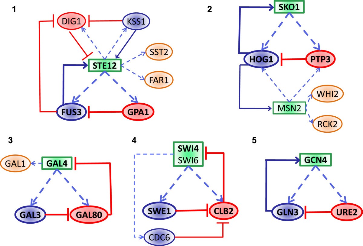 Figure 6