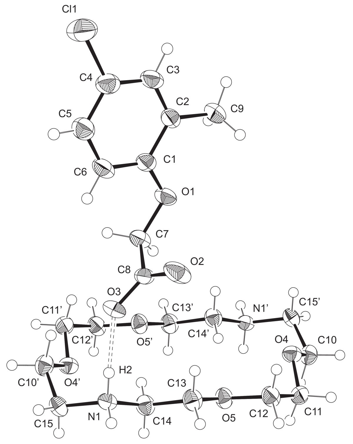 Figure 2