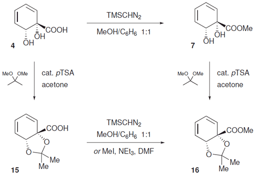 Scheme 4