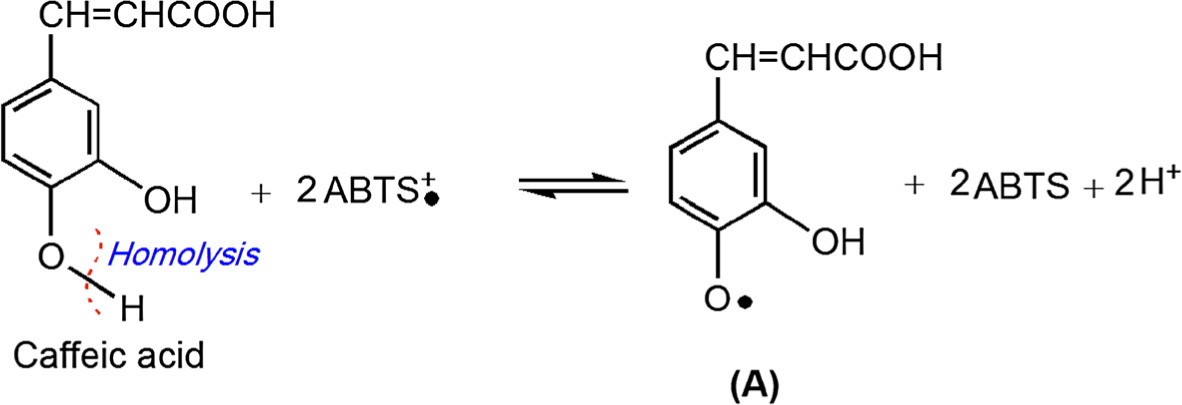 Scheme 5