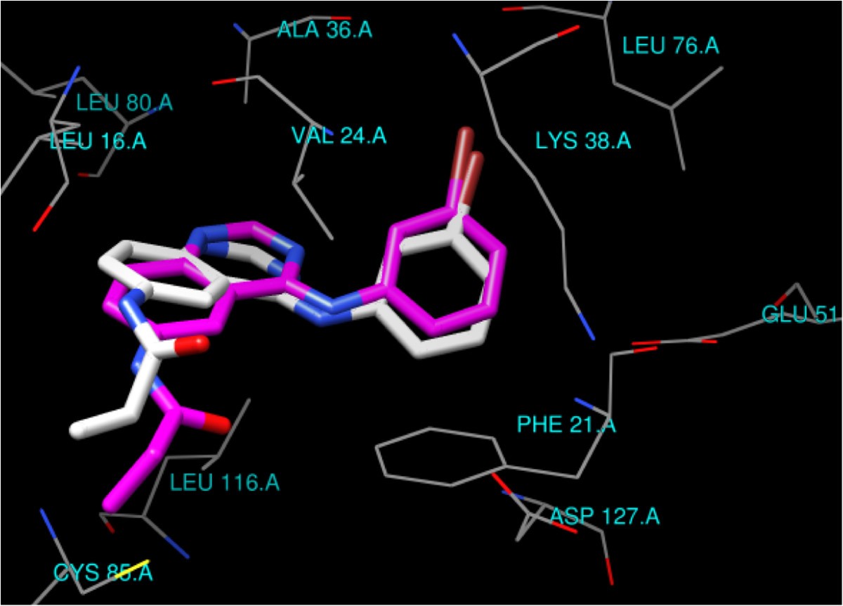 Figure 5