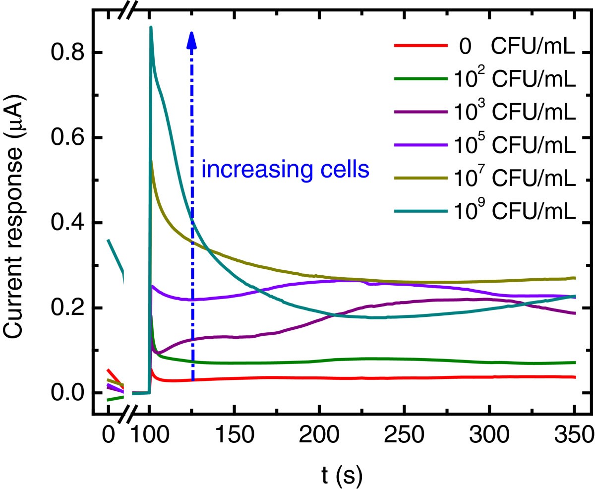 Figure 5